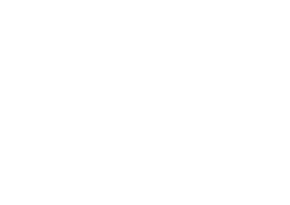 Ping Rechenzentrumsreinigung Logo