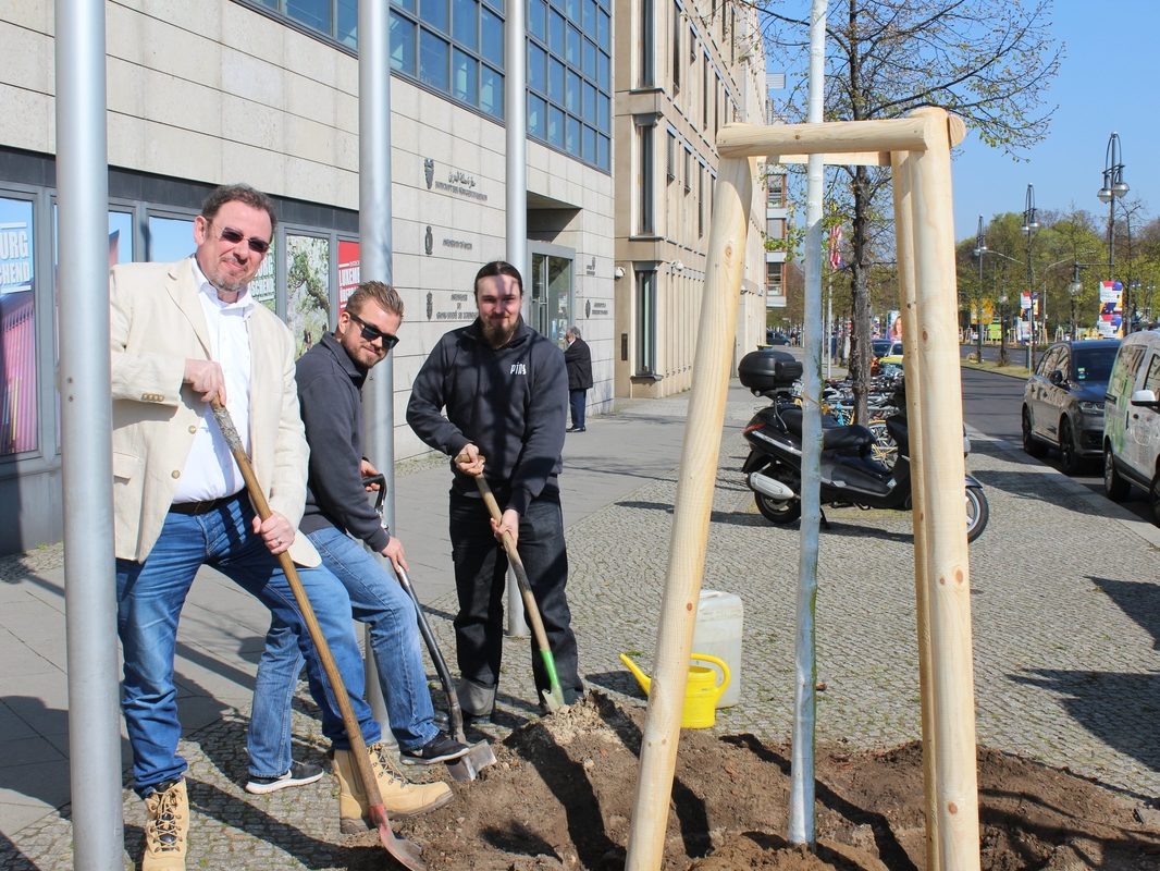 Bäume für Berlin: PING unterstützt die Berliner Stadtbaumkampagne