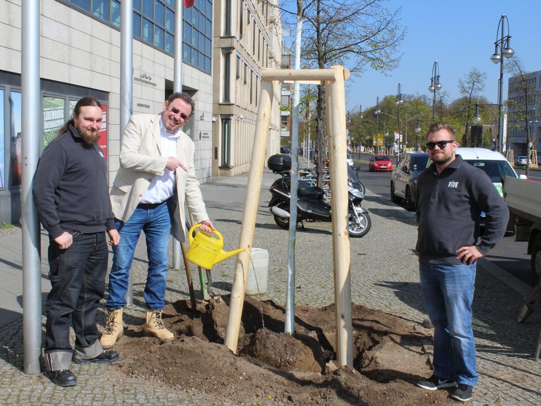 Bäume für Berlin: PING unterstützt die Berliner Stadtbaumkampagne
