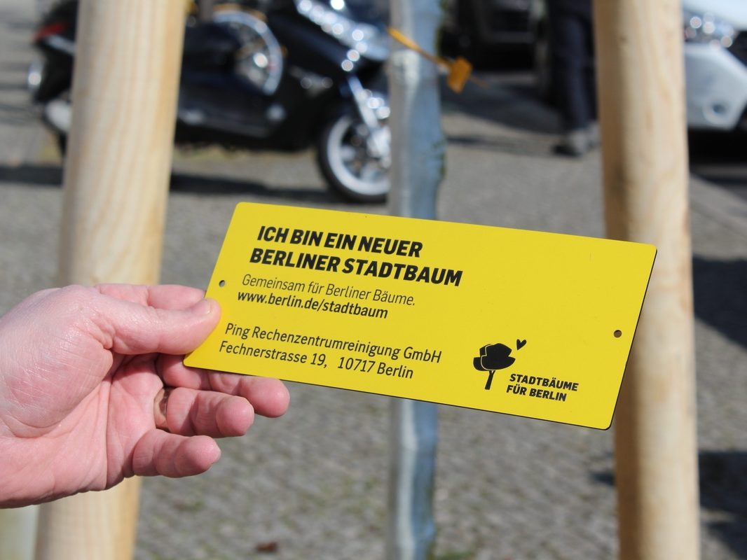 Bäume für Berlin: PING unterstützt die Berliner Stadtbaumkampagne